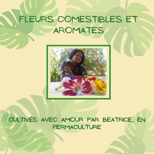 menthe allo